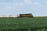 NKP 8100 basks in the summer sun amongst the soy and the wheat
